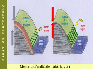 Menor profundidade maior largura
C
A
B
E
C
E
I
R
A
S
D
O
P
U
R
U
S
 
