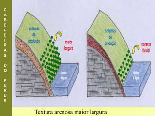 Textura arenosa maior largura
C
A
B
E
C
E
I
R
A
S
D
O
P
U
R
U
S
 