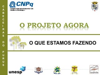 C
A
B
E
C
E
I
R
A
S
D
O
P
U
R
U
S
O QUE ESTAMOS FAZENDO
ConselhoNacionaldeDesenvolvimento
CientíficoeTecnológico
 