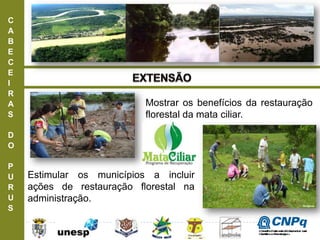 C
A
B
E
C
E
I
R
A
S
D
O
P
U
R
U
S
Mostrar os benefícios da restauração
florestal da mata ciliar.
Estimular os municípios a incluir
ações de restauração florestal na
administração.
ConselhoNacionaldeDesenvolvimento
CientíficoeTecnológico
 