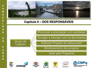 C
A
B
E
C
E
I
R
A
S
D
O
P
U
R
U
S
Capítulo II – DOS RESPONSÁVEIS
Grupo de
Trabalho
Promover a articulação com entidades
Divulgar e interagir com as Secretarias
Elaborar Projetos de restauração
Monitoramento dos projetos
Zelar pelo Programa
ConselhoNacionaldeDesenvolvimento
CientíficoeTecnológico
 