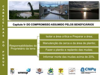 C
A
B
E
C
E
I
R
A
S
D
O
P
U
R
U
S
Capítulo V- DO COMPROMISSO ASSUMIDO PELOS BENEFICIÁRIOS
Responsabilidades do
Proprietário da terra
Isolar a área crítica e Preparar a área;
Manutenção da cerca e da área de plantio;
Fazer o plantio e replantio das mudas;
Informar morte das mudas acima de 20%.
ConselhoNacionaldeDesenvolvimento
CientíficoeTecnológico
 