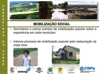 C
A
B
E
C
E
I
R
A
S
D
O
P
U
R
U
S
 Seminários e outros eventos de mobilização popular sobre a
experiência em cada município;
 Intenso processo de mobilização popular pela restauração da
mata ciliar.
ConselhoNacionaldeDesenvolvimento
CientíficoeTecnológico
 