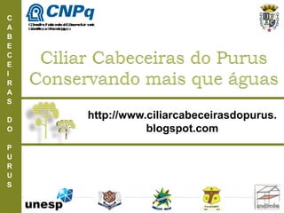 C
A
B
E
C
E
I
R
A
S
D
O
P
U
R
U
S
http://www.ciliarcabeceirasdopurus.
blogspot.com
ConselhoNacionaldeDesenvolvimento
CientíficoeTecnológico
 