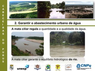 C
A
B
E
C
E
I
R
A
S
D
O
P
U
R
U
S
A mata ciliar regula a quantidade e a qualidade da água.
2. Garantir o abastecimento urbano de água
A mata ciliar garante o equilíbrio hidrológico do rio.
ConselhoNacionaldeDesenvolvimento
CientíficoeTecnológico
 