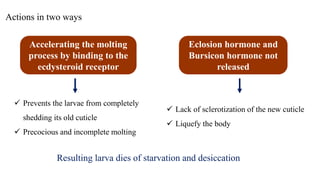 Accelerating the molting
process by binding to the
ecdysteroid receptor
Eclosion hormone and
Bursicon hormone not
released
 Lack of sclerotization of the new cuticle
 Liquefy the body
 Prevents the larvae from completely
shedding its old cuticle
 Precocious and incomplete molting
Resulting larva dies of starvation and desiccation
Actions in two ways
 