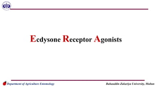Ecdysone Receptor Agonists
Department of Agriculture Entomology Bahauddin Zakariya University, Multan
 