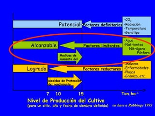 Potencial
Alcanzable
Logrado
7 10 15
Nivel de Producción del Cultivo
(para un sitio, año y fecha de siembra definida)
Medidas de Protección
del rendimiento
Medidas de
Aumento del
rendimiento
Factores reductores
Factores limitantes
Factores definitorios
-Malezas
-Enfermedades
-Plagas
-Granizo, etc.
-Agua
-Nutrientes
Nitrógeno
Fósforo
Ton.ha-1
-CO2
-Radiación
-Temperatura
-Genotipo
en base a Rabbinge 1993
 