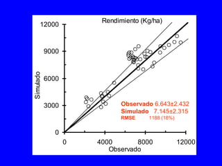 Rendimiento (Kg/ha)
0
3000
6000
9000
12000
0 4000 8000 12000
Observado
Simulado
Observado 6.643±2.432
Simulado 7.145±2.315
RMSE 1188 (18%)
 