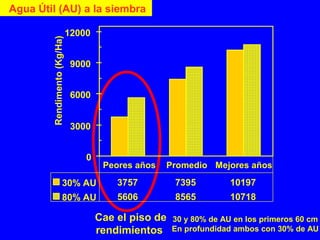 Cae el piso de
rendimientos
0
3000
6000
9000
12000
Rendimento(Kg/Ha)
30% AU 3757 7395 10197
80% AU 5606 8565 10718
Peores años Promedio Mejores años
Agua Útil (AU) a la siembra
30 y 80% de AU en los primeros 60 cm
En profundidad ambos con 30% de AU
 
