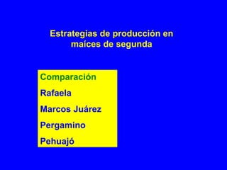 Estrategias de producción en
maíces de segunda
Comparación
Rafaela
Marcos Juárez
Pergamino
Pehuajó
 