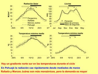 Rafaela y Marcos Juárez son más monzónicos, pero la demanda es mayor
Hay un gradiente norte sur en las temperaturas durante el ciclo
En Pehuajó la radiación cae rápidamente desde mediados de marzo
Radiación Solar
0
5
10
15
20
25
30
29/5 6/9 15/12 25/3 3/7
MJ/m2
Pergamino
Rafaela
Marcos Juárez
Pehuajó
Temperatura mínima media
0
5
10
15
20
25
30
35
29/5 6/9 15/12 25/3 3/7
ºC
Temperatura máxima media
0
5
10
15
20
25
30
35
29/5 6/9 15/12 25/3 3/7
ºC
Lluvias
0
20
40
60
80
100
120
140
160
Jul Sep Nov Ene Mar May
mm
Maíz de primera
Maíz de segunda
Floración
 