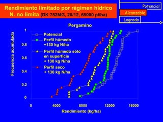 Potencial
Alcanzable
Logrado
Rendimiento limitado por régimen hídrico
N. no limita (DK 752MG, 20/12, 65000 pl/ha)
Pergamino
Rendimiento (kg/ha)
Frecuenciaacumulada
Potencial
Perfil húmedo
+130 kg N/ha
0
0.2
0.4
0.6
0.8
1
0 4000 8000 12000 16000
Perfil húmedo sólo
en superficie
+ 130 kg N/ha
Perfil seco
+ 130 kg N/ha
 
