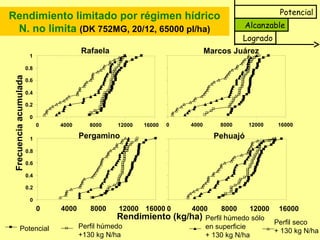 Potencial
Alcanzable
Logrado
Rendimiento limitado por régimen hídrico
N. no limita (DK 752MG, 20/12, 65000 pl/ha)
Potencial Perfil húmedo
+130 kg N/ha
Pehuajó
0 4000 8000 12000 16000
Rendimiento (kg/ha)
Rafaela
0
0.2
0.4
0.6
0.8
1
0 4000 8000 12000 16000
Frecuenciaacumulada
Marcos Juárez
0 4000 8000 12000 16000
Pergamino
0
0.2
0.4
0.6
0.8
1
0 4000 8000 12000 16000
Perfil húmedo sólo
en superficie
+ 130 kg N/ha
Perfil seco
+ 130 kg N/ha
 