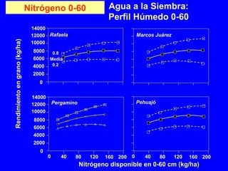 Nitrógeno 0-60 Agua a la Siembra:
Perfil Húmedo 0-60
0.8
Media
0.2
10000
12000
14000
2000
4000
6000
8000
0
Rafaela
40 80 120 1600
Marcos Juárez
Pehuajó
200
10000
12000
14000
2000
4000
6000
8000
0
40 80 120 1600 200
Pergamino
Nitrógeno disponible en 0-60 cm (kg/ha)
Rendimientoengrano(kg/ha)
 