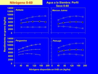 Nitrógeno 0-60 Agua a la Siembra: Perfil
Seco 0-60
Nitrógeno disponible en 0-60 cm (kg/ha)
Pehuajó
Marcos Juárez
0 40 80 120 160 200
Rafaela
10000
12000
14000
2000
4000
6000
8000
0
Rendimientoengrano(kg/ha)
10000
12000
14000
2000
4000
6000
8000
0
0 40 80 120 160 200
Pergamino
 