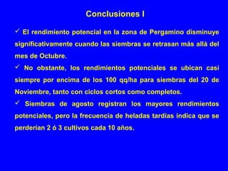 Conclusiones I
 El rendimiento potencial en la zona de Pergamino disminuye
significativamente cuando las siembras se retrasan más allá del
mes de Octubre.
 No obstante, los rendimientos potenciales se ubican casi
siempre por encima de los 100 qq/ha para siembras del 20 de
Noviembre, tanto con ciclos cortos como completos.
 Siembras de agosto registran los mayores rendimientos
potenciales, pero la frecuencia de heladas tardías indica que se
perderían 2 ó 3 cultivos cada 10 años.
 