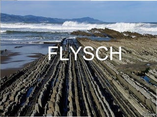 FLYSCH
 