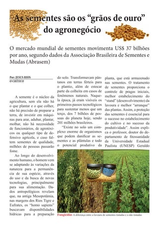 As sementes são os “grãos de ouro”
do agronegócio
O mercado mundial de sementes movimenta US$ 37 bilhões
por ano, segundo dados da Associação Brasileira de Sementes e
Mudas (Abrasem)
Por: JESUS RIOS
___________________________
O CRÍTICO

do solo. Transformavam pântanos em terras férteis para
o plantio, além de estocar
parte da colheita em casos de
fenômenos naturais. Naquela época, já eram visíveis os
primeiros passos tecnológicos
para sustentar menos que um
terço, dos 7 bilhões de pessoas do planeta hoje, sendo
201 milhões brasileiros.
“Existe no solo um complexo enorme de organismos
que podem danificar as sementes e as plântulas e todo
o potencial produtivo da

planta, que está armazenado
nas sementes. O tratamento
de sementes proporciona o
controle de pragas iniciais,
melhor estabelecimento do
“stand” (desenvolvimento) da
lavoura e melhor “arranque”
das plantas. Assim, a proteção
das sementes é essencial para
o sucesso no estabelecimento
do cultivo e no sucesso da
produtividade”. Assim explica o professor, doutor do departamento de fitossanidade
da Universidade Estadual
Paulista (UNESP) Geraldo

A semente é o núcleo da
agricultura, sem ela não há
o que plantar e o que colher,
não há precisão de preparar a
terra, de investir em máquinas para arar, adubar, plantar,
molhar, não há necessidade
de funcionários, de agrotóxicos ou qualquer tipo de defensivo agrícola, e caso faltem sementes de qualidade,
milhões de pessoas passarão
fome. 	
Ao longo do desenvolvimento humano, o homem vem
se adaptando às variações da
natureza para a permanência de sua espécie, através
do uso e da busca de novas
tecnologias, principalmente
para sua alimentação. Dados antropológicos revelam
que, na antiga Mesopotâmia,
nas margens dos Rios Tigre e
Eufrates, os “homo sapiens”
buscavam disponibilidades
hídricas para a preparação Fungicidas A diferença entre a lavoura de sementes tratadas e a não tratadas

 