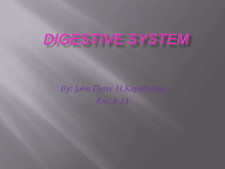 Digestive System By: John DerecH.Kapitbahay Rm. 8-14 
