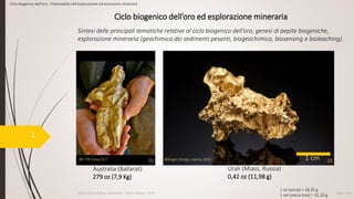 Luglio 2018Esame di Geochimica Ambientale - Oberto Matteo - 2018
1
Ciclo biogenico dell’oro - Potenzialità nell'esplorazione ed estrazione mineraria
1 cm
Australia (Ballarat)
279 oz (7,9 Kg)
Urali (Miass, Russia)
0,42 oz (11,98 g)
1 oz (oncia) = 28,35 g
1 ozt (oncia troy) = 31,10 g
@Bogni Giorgio, marzo 2018@L’OR Deluy N17
Ciclo biogenico dell’oro ed esplorazione mineraria
Sintesi delle principali tematiche relative al ciclo biogenico dell’oro, genesi di pepite biogeniche,
esplorazione mineraria (geochimica dei sedimenti pesanti, biogeochimica, biosensing e bioleaching).
[1] [2]
 