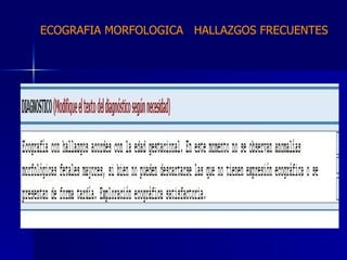 ECOGRAFIA MORFOLOGICA  HALLAZGOS FRECUENTES   