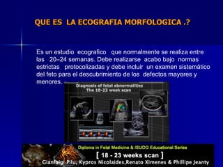 QUE ES  LA ECOGRAFIA MORFOLOGICA .? Es un estudio  ecografico  que normalmente se realiza entre las  20–24 semanas. Debe realizarse  acabo bajo  normas estrictas  protocolizadas y debe incluir  un examen sistemático del feto para el descubrimiento de los  defectos mayores y menores.  La Fundación de la Medicina Fetal 