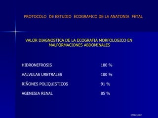DTFRC-2007 VALOR DIAGNOSTICA DE LA ECOGRAFIA MORFOLOGICO EN  MALFORMACIONES ABDOMINALES HIDRONEFROSIS 100 % VALVULAS URETRALES 100 %  RIÑONES POLIQUISTICOS  91 % AGENESIA RENAL 85 % PROTOCOLO  DE ESTUDIO  ECOGRAFICO DE LA ANATONIA  FETAL 