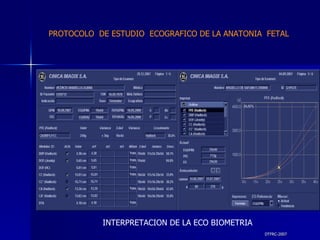 DTFRC-2007 PROTOCOLO  DE ESTUDIO  ECOGRAFICO DE LA ANATONIA  FETAL INTERPRETACION DE LA ECO BIOMETRIA 