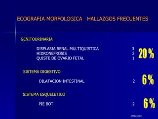 DTFRC-2007 ECOGRAFIA MORFOLOGICA  HALLAZGOS FRECUENTES   GENITOURINARIA DISPLASIA RENAL MULTIQUISTICA  3 HIDRONEFROSIS  2 QUISTE DE OVARIO FETAL  1 SISTEMA DIGESTIVO DILATACION INTESTINAL  2  SISTEMA ESQUELETICO   PIE BOT  2  20 % 6 % 6 % 