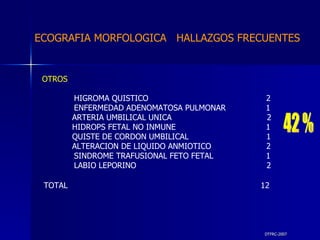 DTFRC-2007 ECOGRAFIA MORFOLOGICA  HALLAZGOS FRECUENTES   OTROS HIGROMA QUISTICO  2 ENFERMEDAD ADENOMATOSA PULMONAR  1 ARTERIA UMBILICAL UNICA  2 HIDROPS FETAL NO INMUNE  1 QUISTE DE CORDON UMBILICAL  1 ALTERACION DE LIQUIDO ANMIOTICO  2 SINDROME TRAFUSIONAL FETO FETAL 1 LABIO LEPORINO  2 TOTAL  12  42 % 