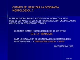 DTFRC-2007 EL PERIODO IDEAL PARA EL ESTUDIO DE LA MORFOLOGIA FETAL DEBE DE SER AQUEL EN QUE YA ES POSIBLE REALIZAR UNA EVALUACION CONSISA DE LA ESTRUCTURAS FETALES EL PRIMER EXAMEN MORFOLOGICO DEBE DE SER ENTRE 10 a 14  SEMANAS PARA LA EVALUACION DE LOS MARCADORES CROMOSONICOS PRINCIPALMENTE  LA  TRANSLUCENCIA NUCAL – HN-DV NICOLAIDES et 2000 CUANDO SE  REALIZAR LA ECOGRAFIA MORFOLOGICA .? 