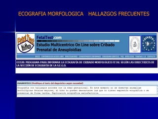 ECOGRAFIA MORFOLOGICA  HALLAZGOS FRECUENTES   