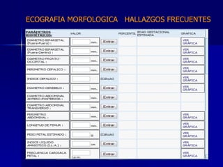 ECOGRAFIA MORFOLOGICA  HALLAZGOS FRECUENTES   