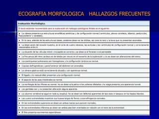 ECOGRAFIA MORFOLOGICA  HALLAZGOS FRECUENTES   