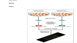 MicroArray technology; history, Types and principle | PPTX