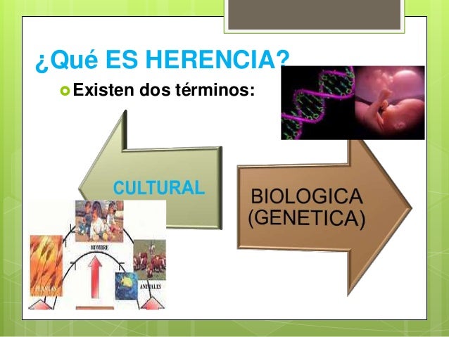 Fundamentos de la herencia biológica