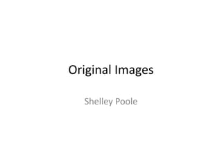 Original Images

  Shelley Poole
 