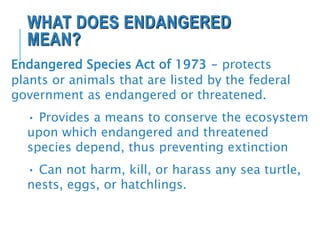 WHAT DOES ENDANGERED
MEAN?
Endangered Species Act of 1973 – protects
plants or animals that are listed by the federal
government as endangered or threatened.
• Provides a means to conserve the ecosystem
upon which endangered and threatened
species depend, thus preventing extinction
• Can not harm, kill, or harass any sea turtle,
nests, eggs, or hatchlings.
 