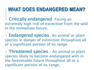 WHAT DOES ENDANGERED MEAN?
• Critically endangered – Facing an
extremely high risk of extinction from the wild
in the immediate future.
• Endangered species – An animal or plant
species in danger of extinction throughout all
or a significant portion of its range.
• Threatened species – An animal or plant
species likely to become endangered with in
the foreseeable future throughout all or a
significant portion of its range.
 