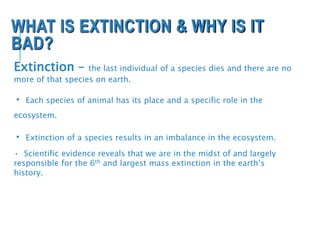 WHAT IS EXTINCTION & WHY IS IT
BAD?
Extinction – the last individual of a species dies and there are no
more of that species on earth.
• Each species of animal has its place and a specific role in the
ecosystem.
• Extinction of a species results in an imbalance in the ecosystem.
• Scientific evidence reveals that we are in the midst of and largely
responsible for the 6th and largest mass extinction in the earth’s
history.
 