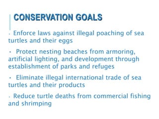 CONSERVATION GOALS
• Enforce laws against illegal poaching of sea
turtles and their eggs
• Protect nesting beaches from armoring,
artificial lighting, and development through
establishment of parks and refuges
• Eliminate illegal international trade of sea
turtles and their products
• Reduce turtle deaths from commercial fishing
and shrimping
 