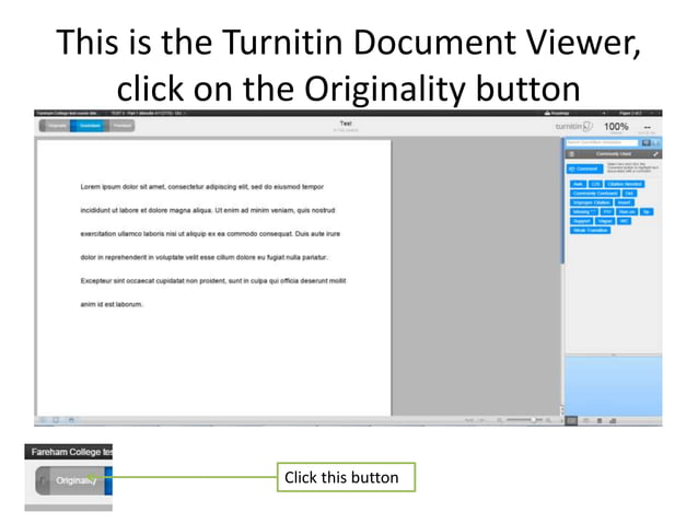 Originality Reports Ppt