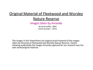 Original Material of Fleetwood and Worsley Nature Reserve Images taken by Amanda The images in this PowerPoint are original proof material of the images taken by Amanda at Fleetwood and Worsley Nature Reserve. Clearly showing evidentially the images Amanda captured for our research was her own work/original material. By Sarah Gaffey - 0854 Centre Number - 33751 