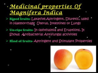• Medicinal properties Of
  Magnifera Indica
 Riped fruits- Laxative,Astringent, Diuretic, used
  in Haemorrhage Uterus, Intestines or Lungs

 Un-ripe fruits- In ophthalmia and Eruptions, It
  Shows Antibacterial Antifungal activities

 Rind of fruits- Astringent and Stimulant Properties
 
