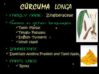 CÚRCUMA LONGA
• FAMILY NAME- Zingiberaceae
•


• Names in other languages:
     Tamil- Manjal
     Telugu- Pasuppu
     English- Turmeric
     Hindi- Haldi

• INHABITANT:
 Especially Andhra Pradesh and Tamil Nadu

• PARTS USED
      Roots
 