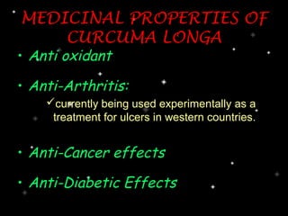 MEDICINAL PROPERTIES OF
    CURCUMA LONGA
• Anti oxidant

• Anti-Arthritis:
    currently being used experimentally as a
     treatment for ulcers in western countries.


• Anti-Cancer effects

• Anti-Diabetic Effects
 