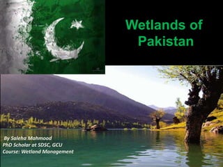 Wetlands of
Pakistan
Presented To: Dr.By Saleha Mahmood
PhD Scholar at SDSC, GCU
Course: Wetland Management
 