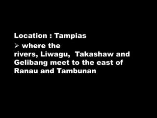 Location : Tampias
 where the
rivers, Liwagu, Takashaw and
Gelibang meet to the east of
Ranau and Tambunan
 