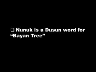  Nunuk is a Dusun word for
“Bayan Tree”
 